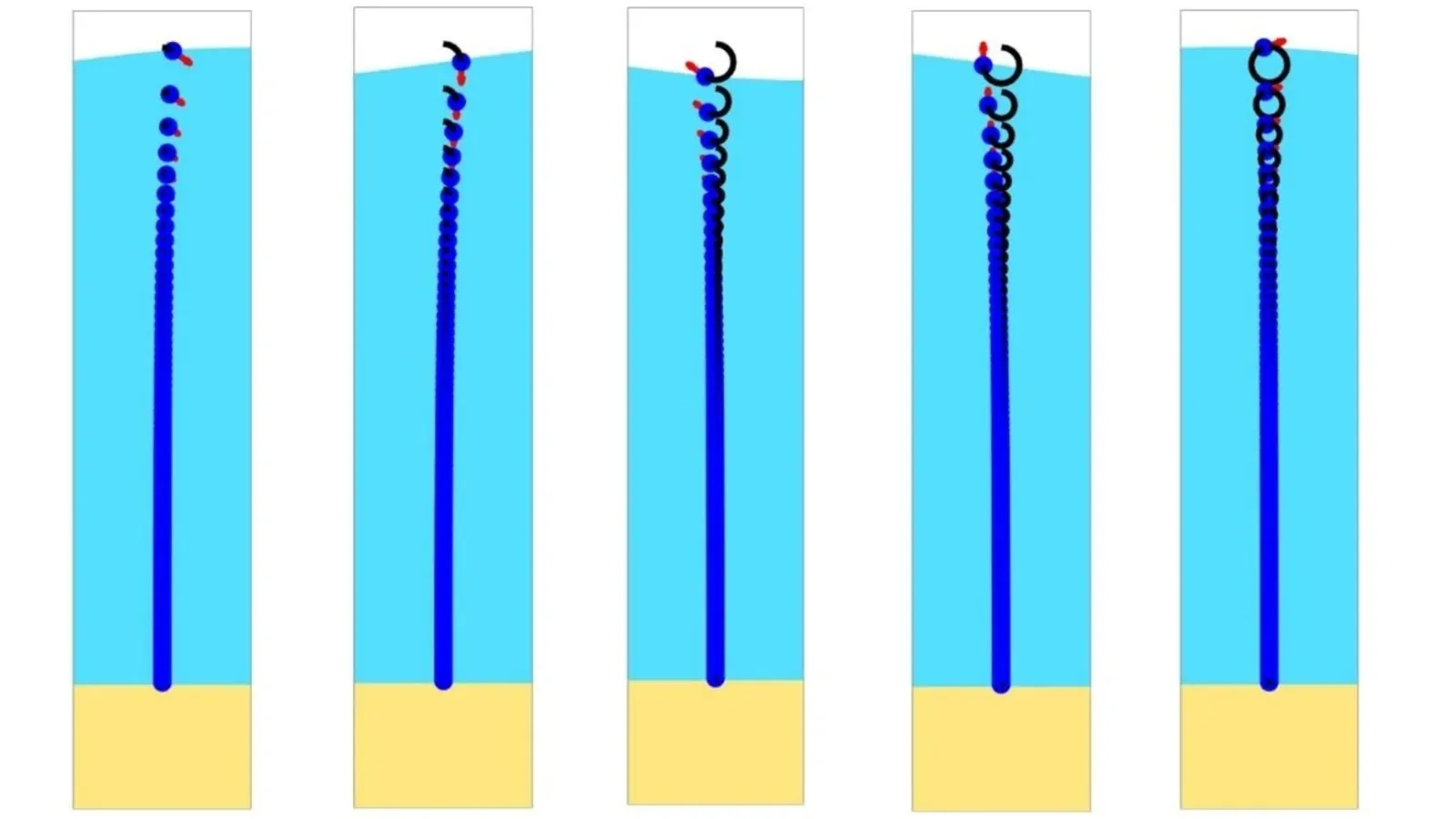Navigation Channel Dredging and Disposal Area Modeling for PT Freeport Indonesia